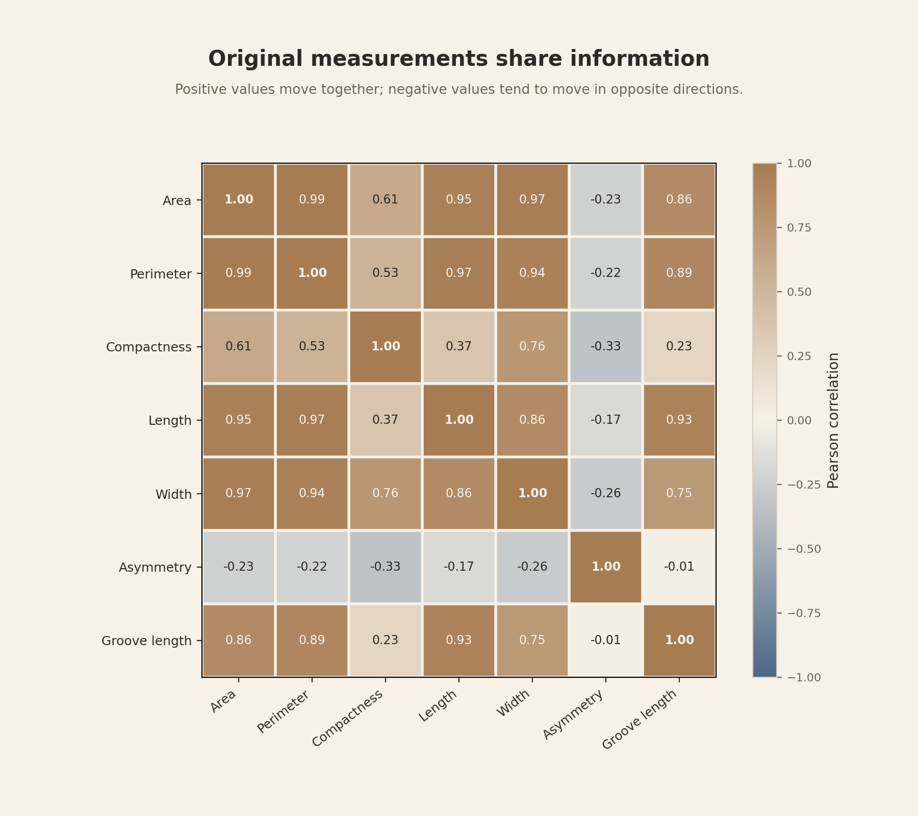 A seven by seven correlation matrix shows strong positive relationships among area, perimeter, length, width, and groove length, while asymmetry has weak negative or near-zero linear correlations with the other measurements.